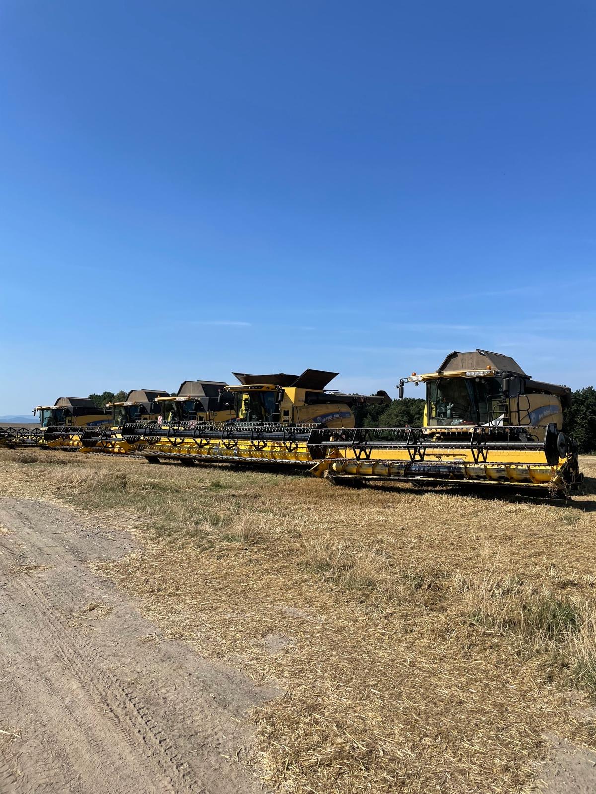 Oferta Agro-Farm - zdjęcie 1
