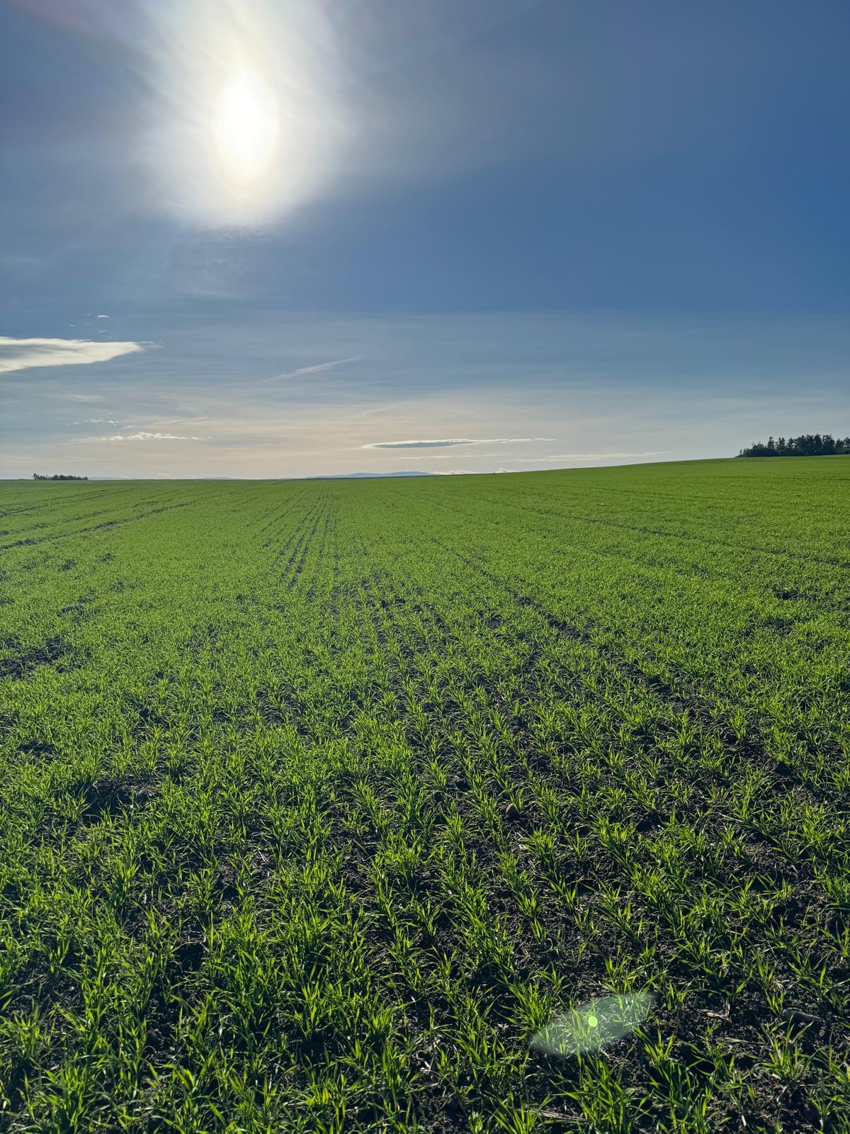Pole Agro-Farm
