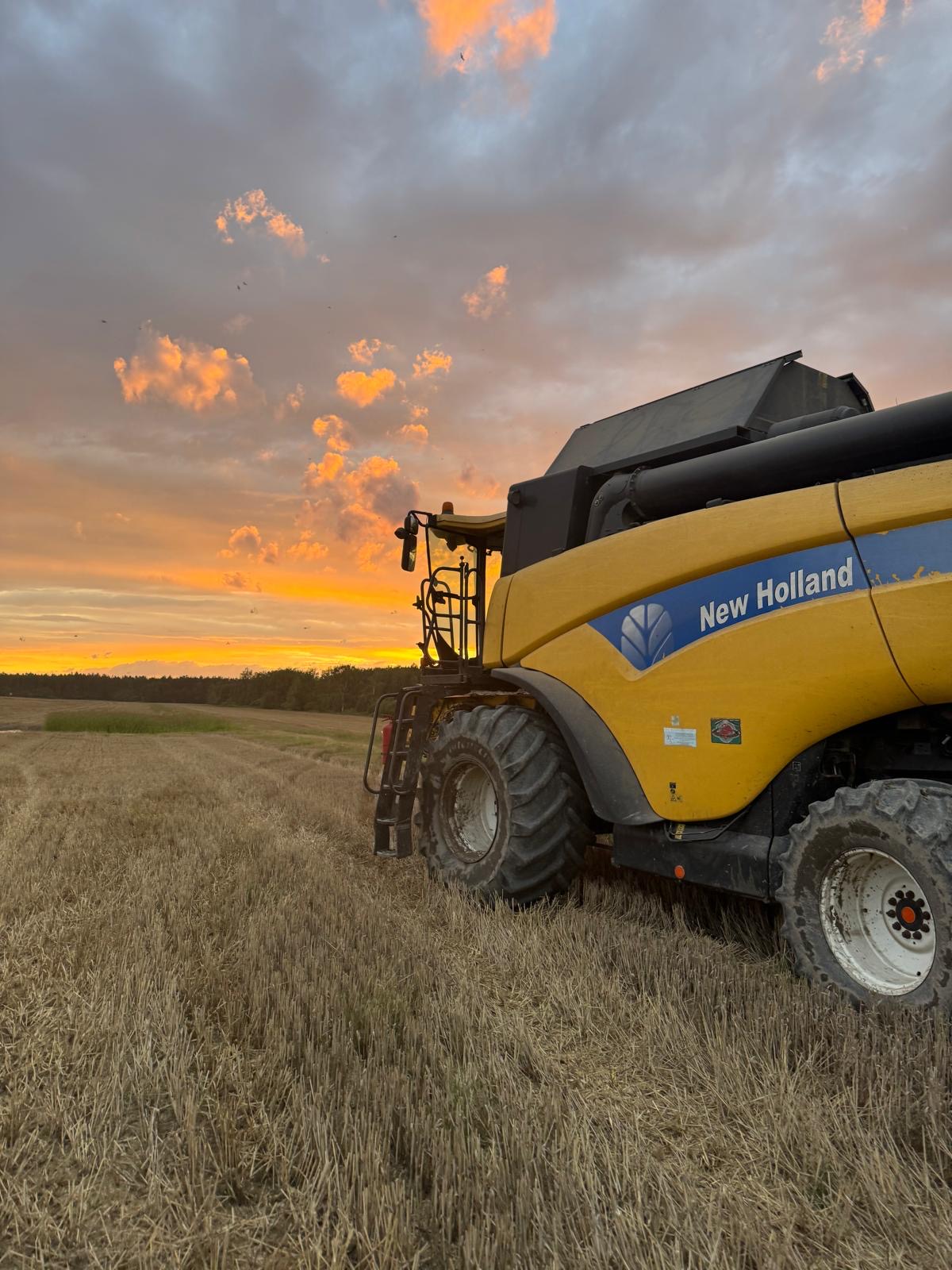 Oferta Agro-Farm - zdjęcie 2